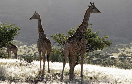 namibia-kuw-Klassisches-Namibia-2