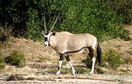 namibia-kuw-Klassisches-Namibia-3