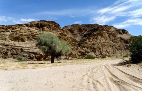 Wüstenstrecke im nördlichen Namibia