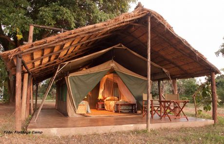 sambia-a4r-Flatdogs-Tent Sambia South Luangwa Flatdogs Zeltchalet