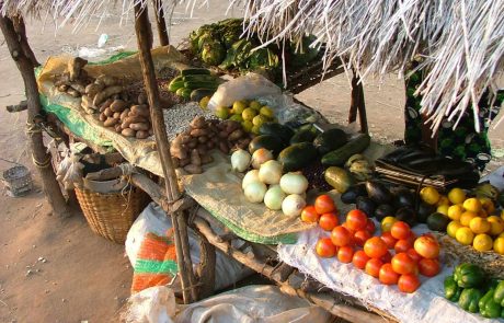 sambia-a4r-Markt-Mfuwe Sambia Markt bei Mfuwe