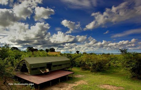 Sambia Kafue Konkomoya Zeltchalet Sambia Kafue Konkomoya Zeltchalet