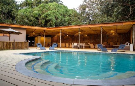 Luangwa Tal Flatdogs Pool