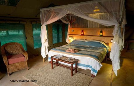 Luangwa Tal Flatdogs Zeltchalet