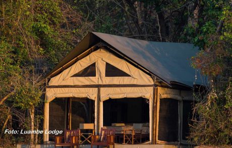 Luangwa Tal Luambe Zeltchalet