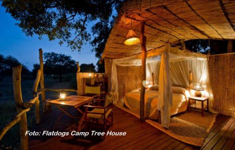 South Luangwa Flatdogs Treehouse