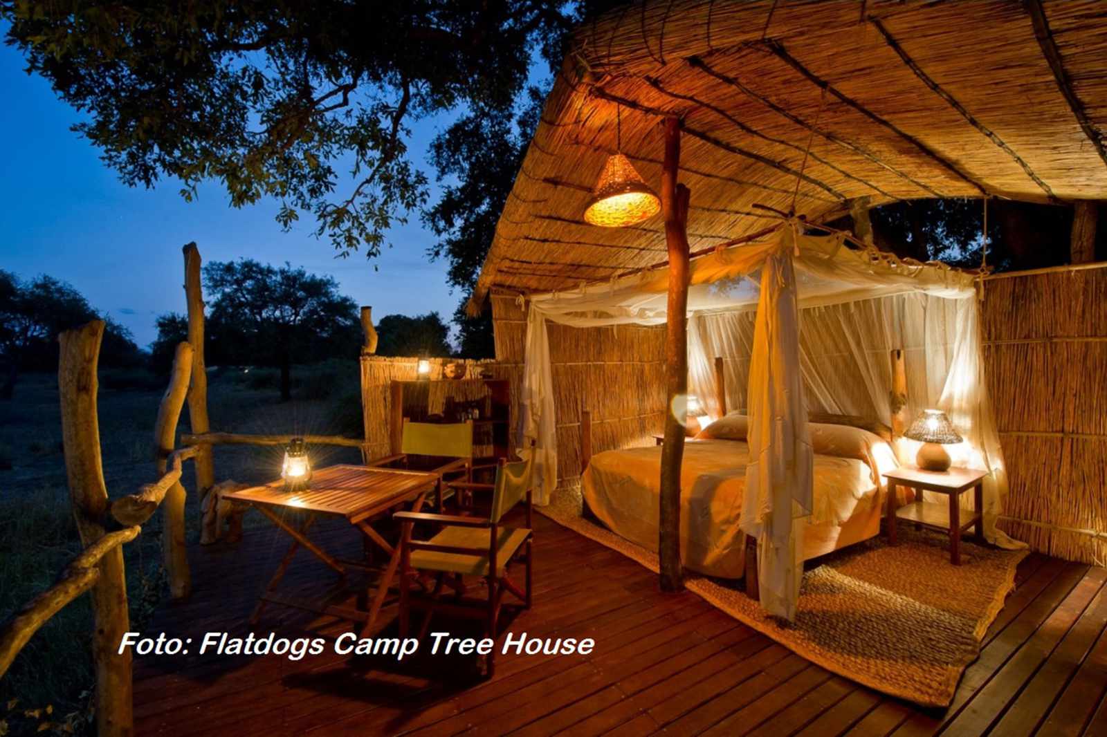 South Luangwa Flatdogs Treehouse
