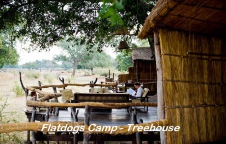 South Luangwa Flatdogs Camp Treehouse