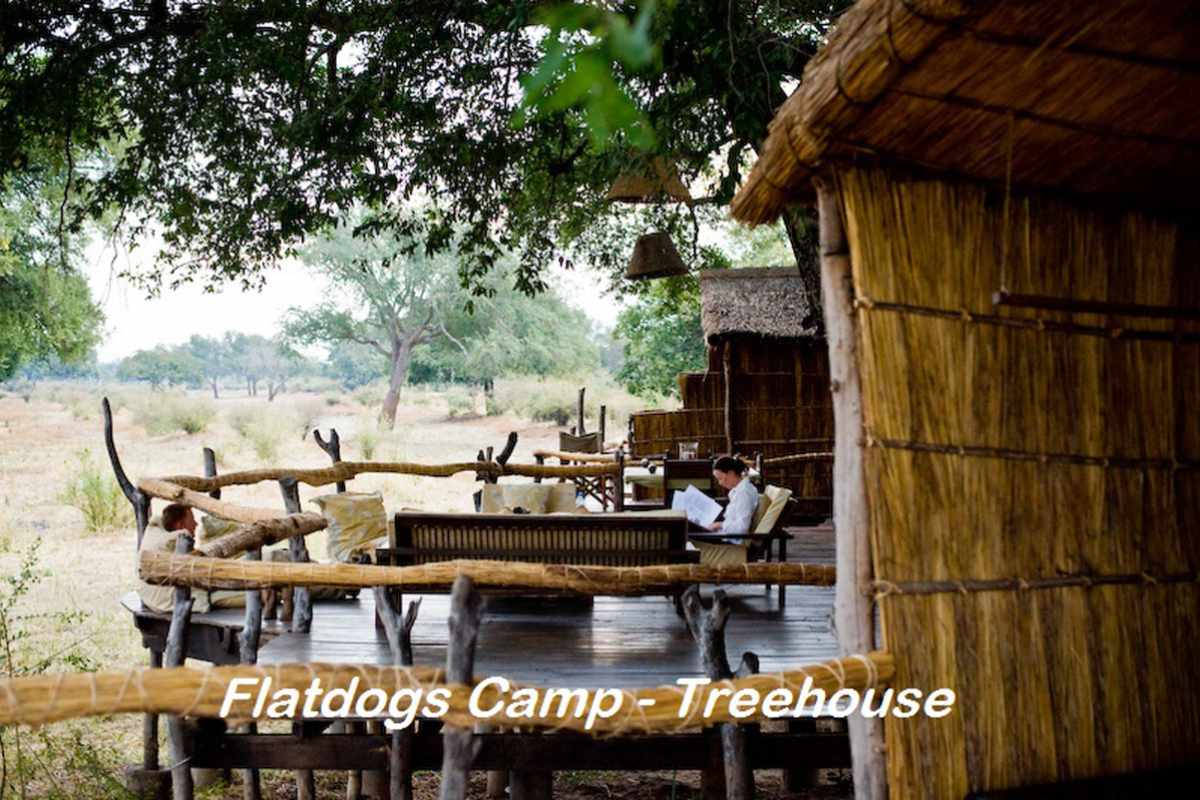 South Luangwa Flatdogs Camp Treehouse