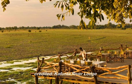 South Luangwa cc Kafunta Lodge