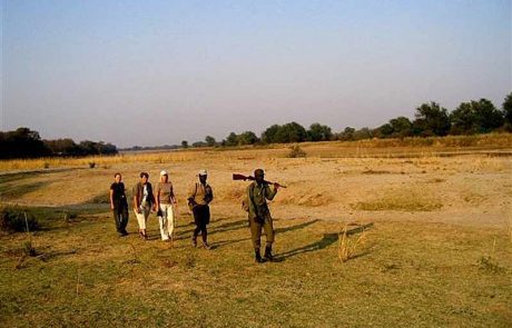 Sambia Lumabe Buschwanderung