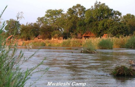 North Luangwa Mwaleshi Camp