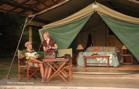 South Luangwa Flatdogs Luxury Safarizelt