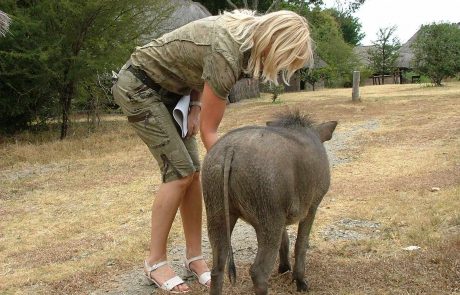 Kafue Mukambi Safari Lodge