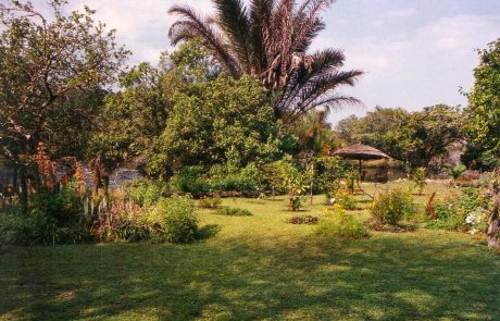 Sambia Kapishya Hot Springs
