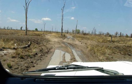 Sambia South Luangwa Nsefu