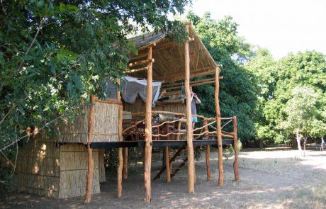 South Luangwa Flatdogs Island Bush Camp