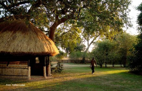 sambia-wlt-Tafika-setting Sambia Nsefu Tafika Garten