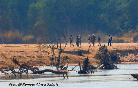sambia-wlt-Walking-safari-Mwaleshi.jpeg Sambia North Luangwa Mwaleshi Camp