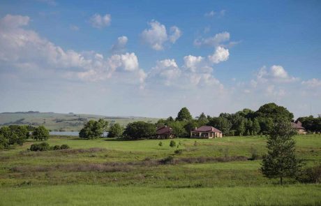 sudafrika-es-DSC_7764 Südafrika Kapregion