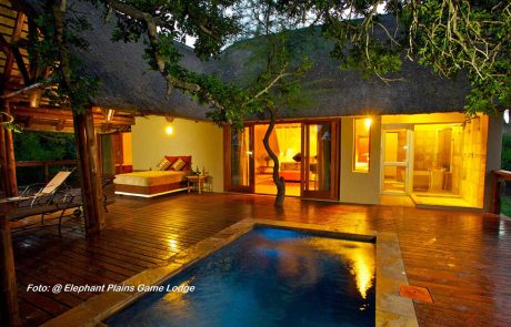 sudafrika-ns-Elephant-Plains-Game-Lodge-2 Südafrika Elephant Plains Game Lodge