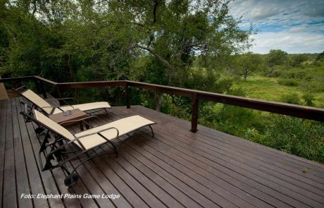 sudafrika-ns-Elephant-Plains-Game-Lodge-4 Südafrika Elephant Plains Game Lodge