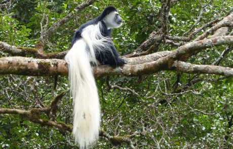 tansania-hk-Hatari-Kili-Trip-10