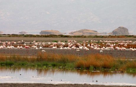 tansania-hk-IMG_1336