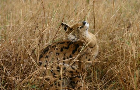 tansania-hk-IMG_1914