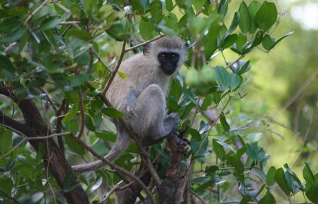 tansania-hk-IMG_2072