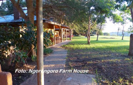 tansania-hohepunkte-Ngorongoro-Farm-House-6 Ngorongoro Farmhaus Blick vom Chalet aus