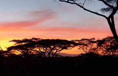 tansania-hohepunkte-P1110034