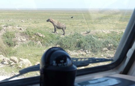 tansania-kinderstube-P1100893 Tansania Ndutu Region