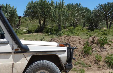 tansania-kinderstube-P1110237