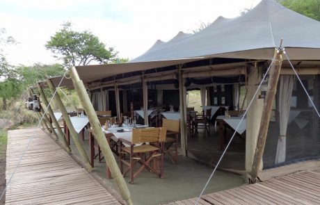 tansania-kinderstube-Pioneer Tansania Seronera Pioneer Lodge