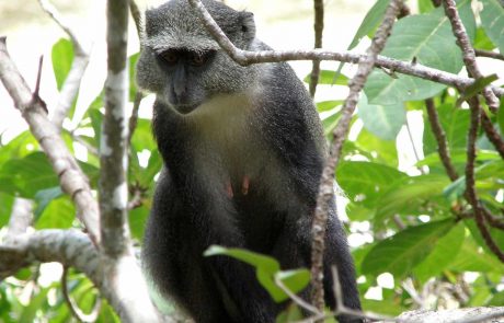 tansania-ss-PC251898