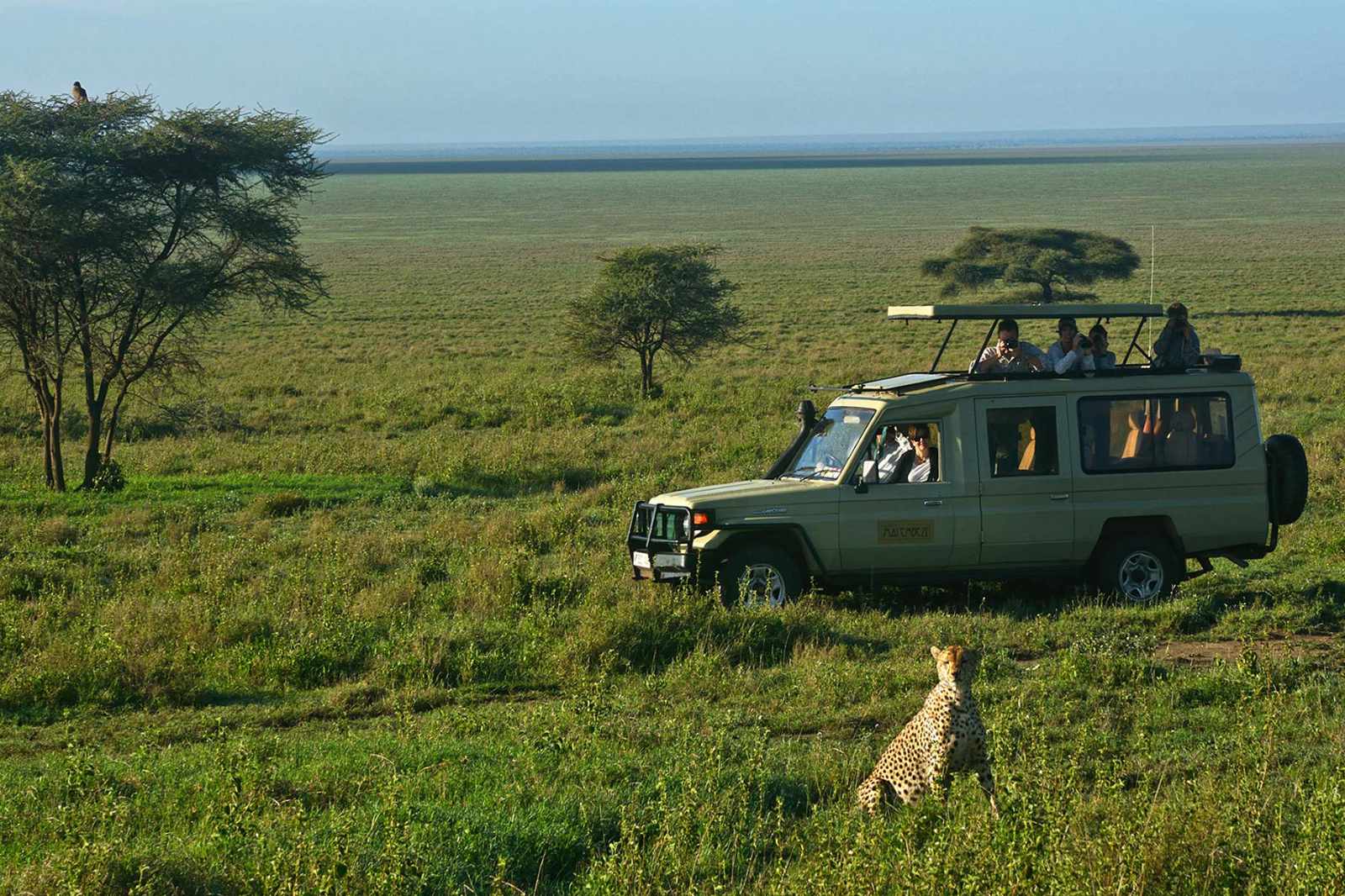 Tansania Serengeti