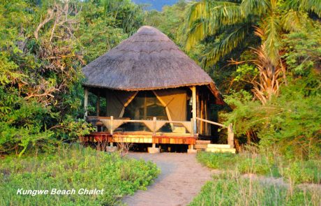 tansania-wt-KungweRoom2 Wildes Tansania Kungwe Lodge