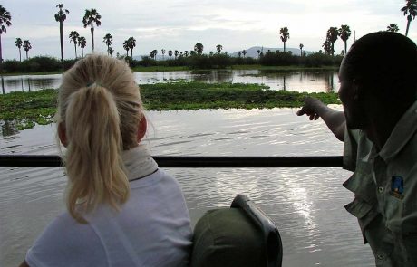 tansania-wt-Ruaha-privat-3 Tansania Ruaha Bootsafari