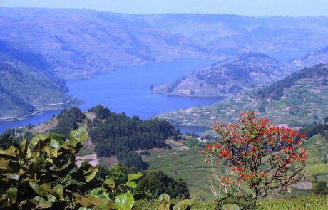 Welt der Primaten Lake Bunyoni