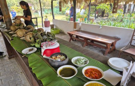 Brahmaputra Kreuzfahrt- Lunch bei Teeplantage