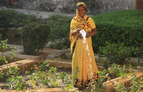 Indien-amr-Inderin in Jaipur Inderin in Jaipur die Garten wässert