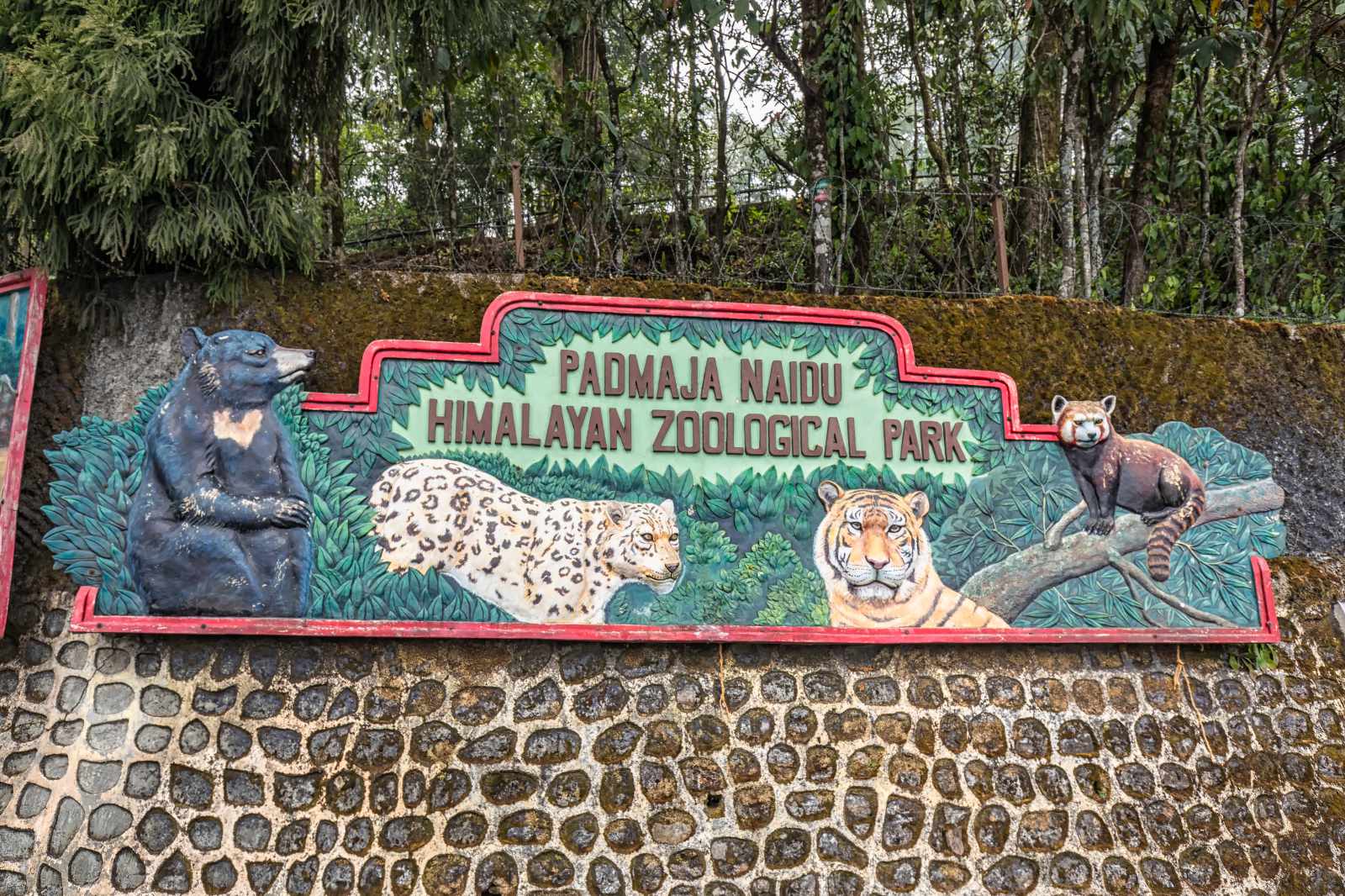 Darjeeling Himalaya Zoo