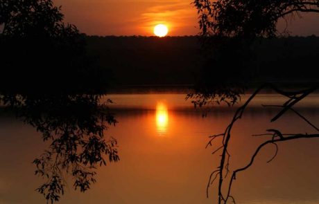 Indien-eiwti-141203_Tadoba_134