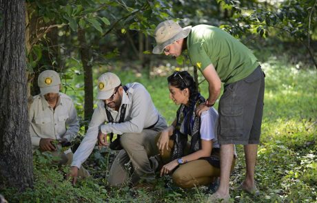 Indien-eiwti-Kanha-Earth-Lodge-1 Tierreich Indiens Erlebnis