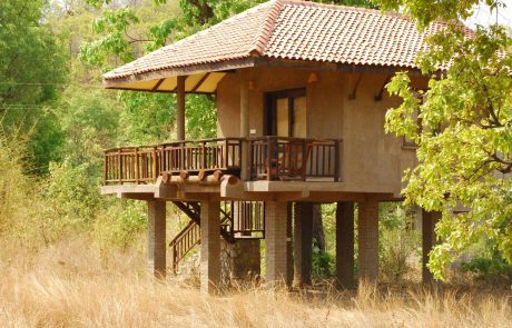Indien-eiwti-Kings-Lodge-2 Indien Safari - Kings Lodge @ Pugdunee Safaris