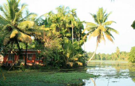 Backwaters Kerala