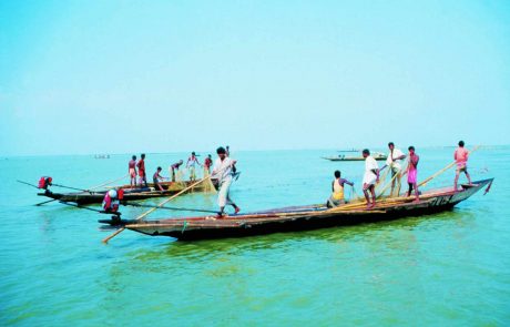 Indien-io-Chilika-Lake-scaled-1 Indien Odisha, Boote auf dem Chilika See