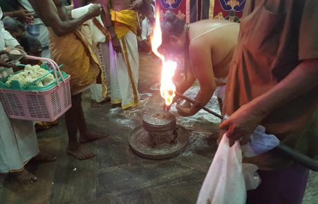 Indien-tug-Meenakshi-Tempel-14 Madurai Abendzeremonie im Meenakshi Tempel