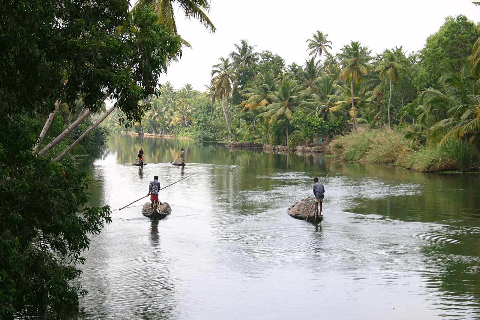 Landschaft der Backwaters bei der Kerala Flusskreuzfahrt